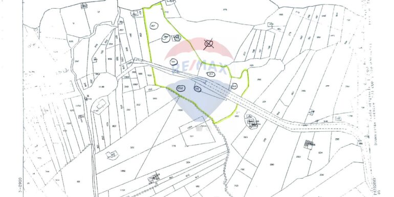 2025020893003-926837-4