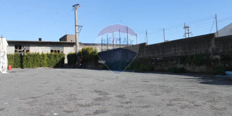 20250211110918-928720-6