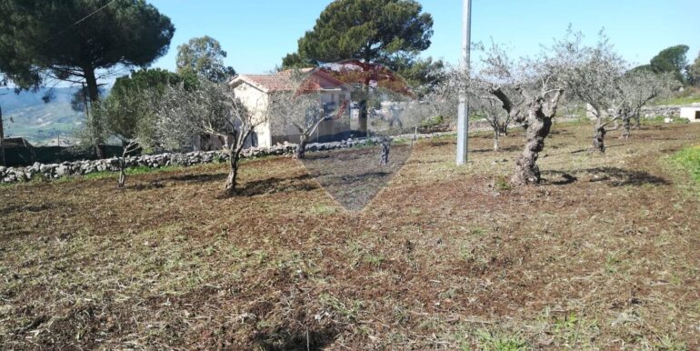 20250211115451-928747-1