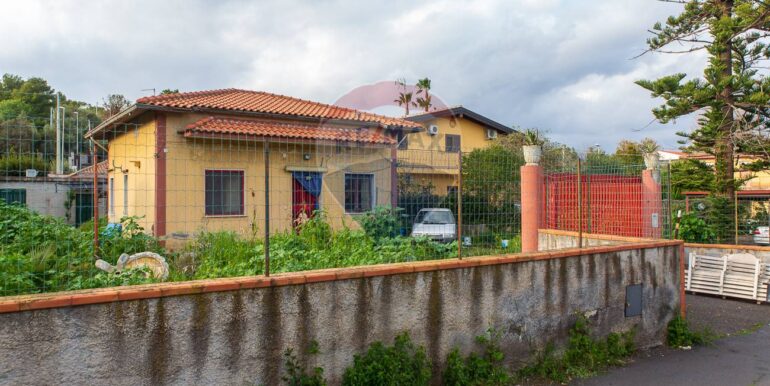 20250213131548-929288-1