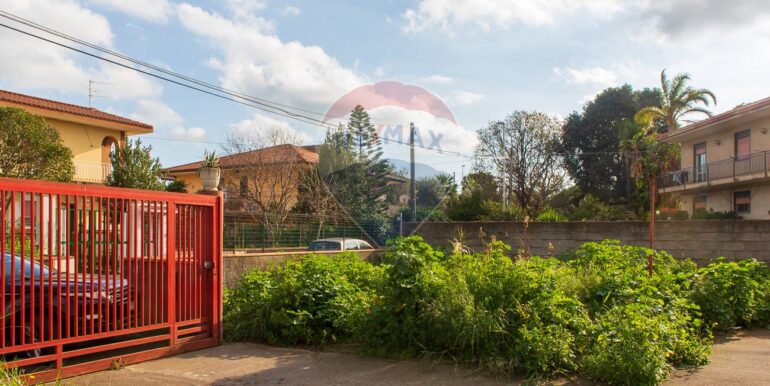 20250213131556-929288-5