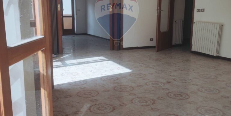 20250213160857-903404-9