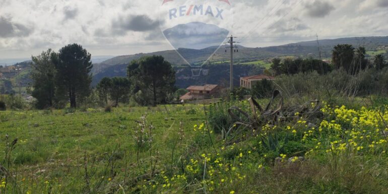 20250213173649-929329-2