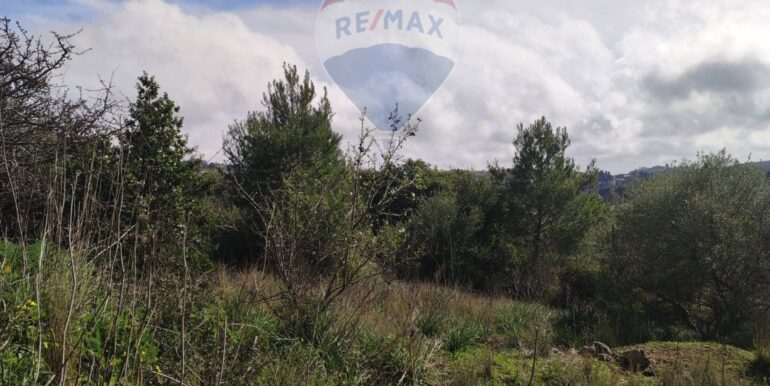 20250213173652-929329-3