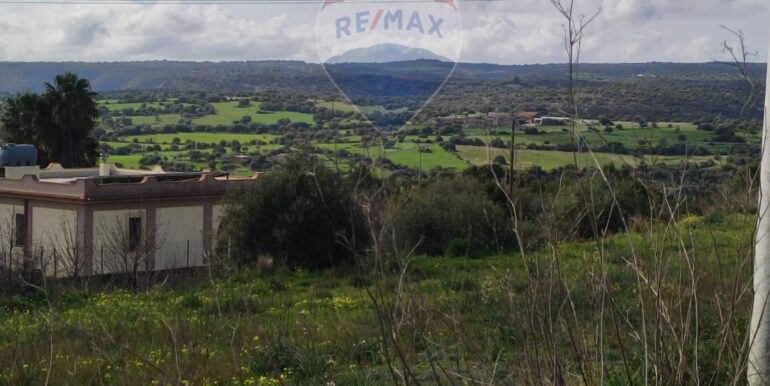 20250213173657-929329-5