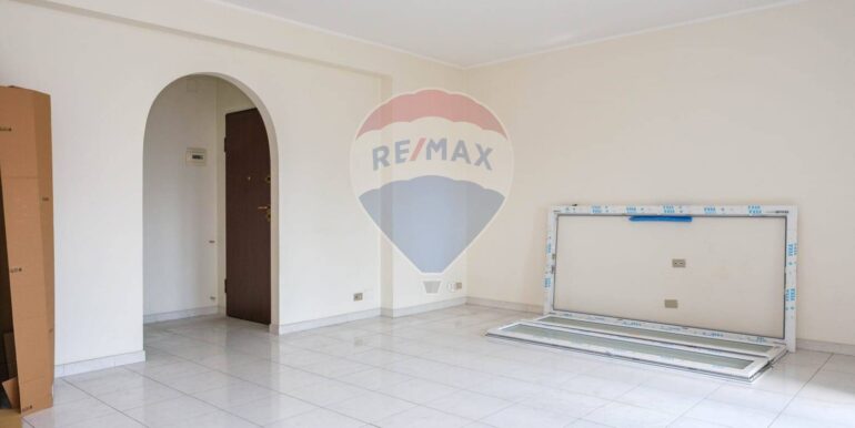 20250224185002-931557-6