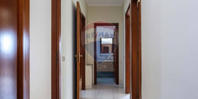 20250224185238-931557-9