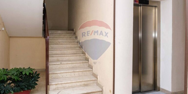 20250224185245-931557-14