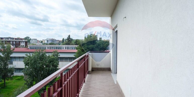 20250224185259-931557-22