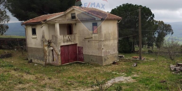 20250226132713-928747-3