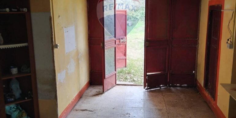 20250226132714-928747-4