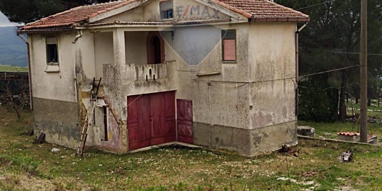 20250226132718-928747-6