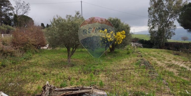 20250226132720-928747-7