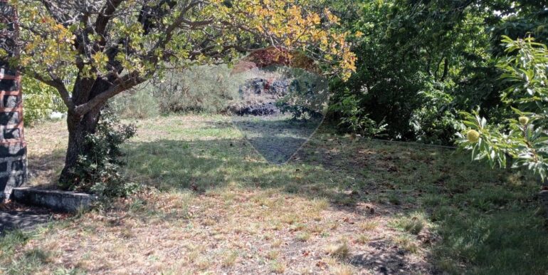 20250226165332-932601-1