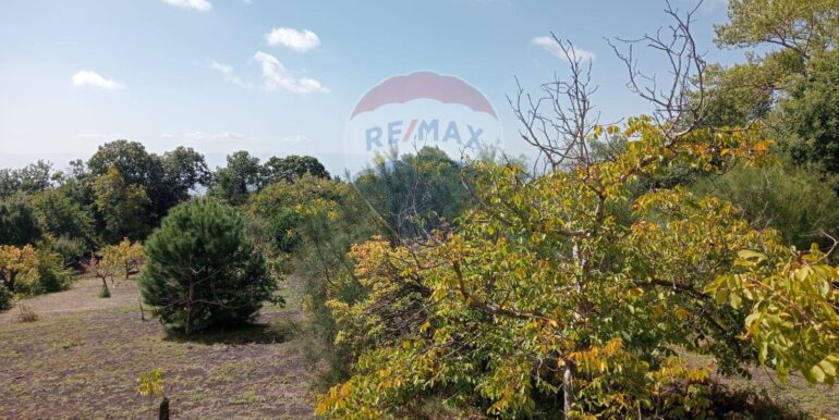 20250226165337-932601-2