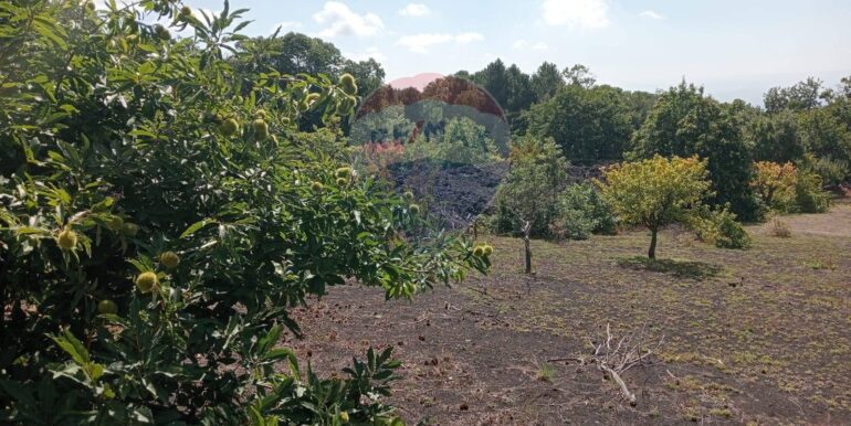 20250226165340-932601-3