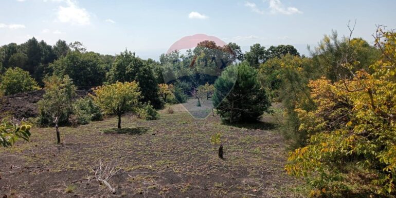 20250226165348-932601-6