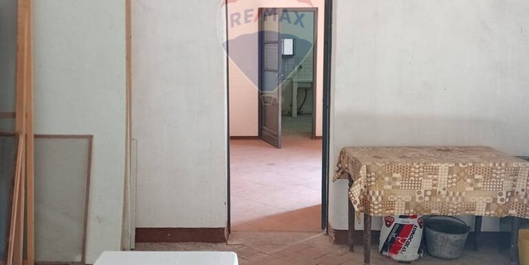 20250226165357-932601-9