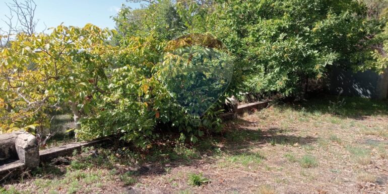 20250226165406-932601-12