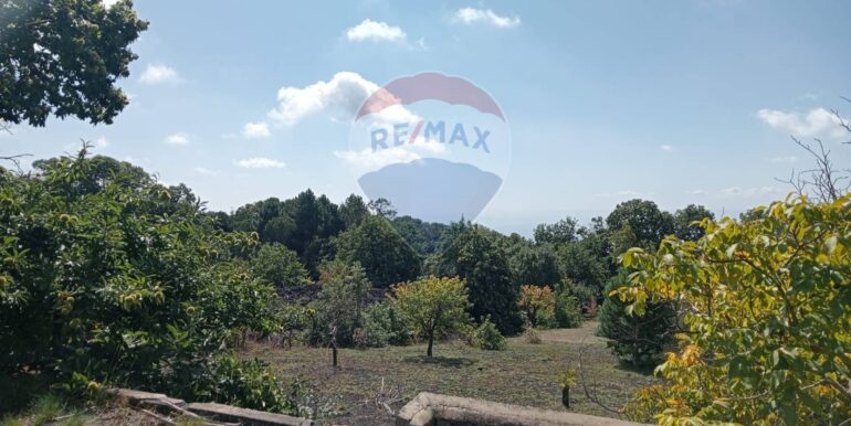 20250226165553-932601-13