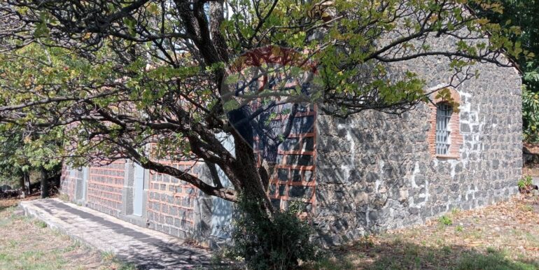 20250226165804-932601-16