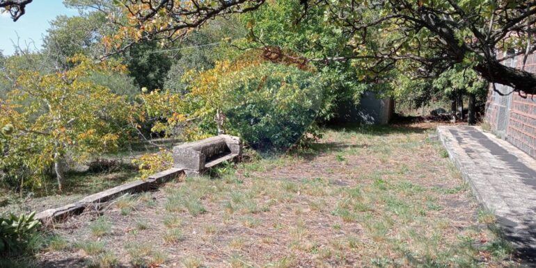 20250226165808-932601-17