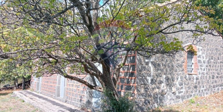 20250226165813-932601-18