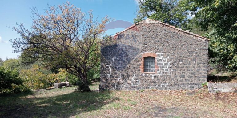 20250226165843-932601-24