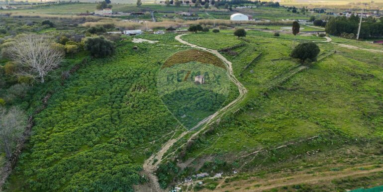 20250226194609-932436-1