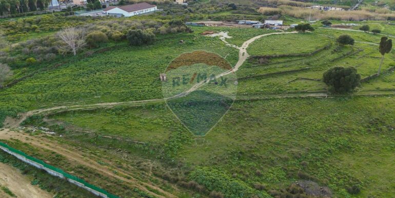 20250226194613-932436-3