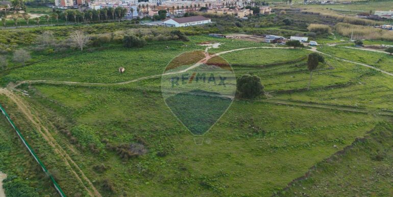 20250226194621-932436-7