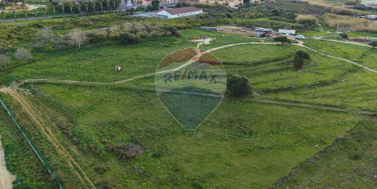 20250226194623-932436-8