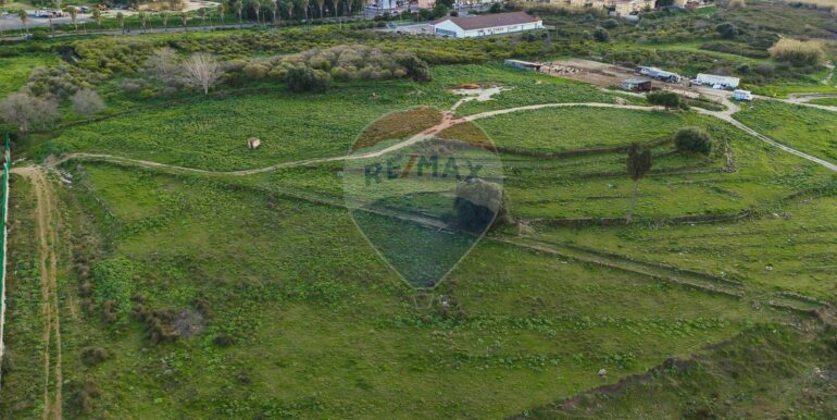 20250226194625-932436-9