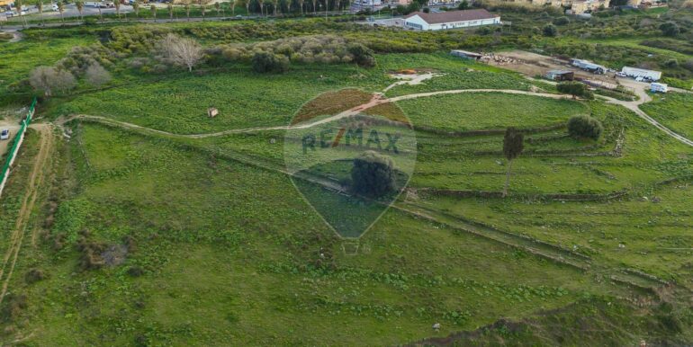 20250226194627-932436-10