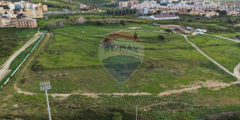 20250226194632-932436-13