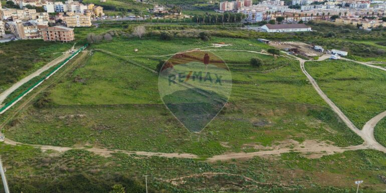 20250226194634-932436-14