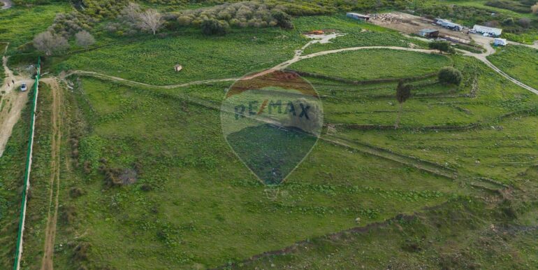 20250226194636-932436-15