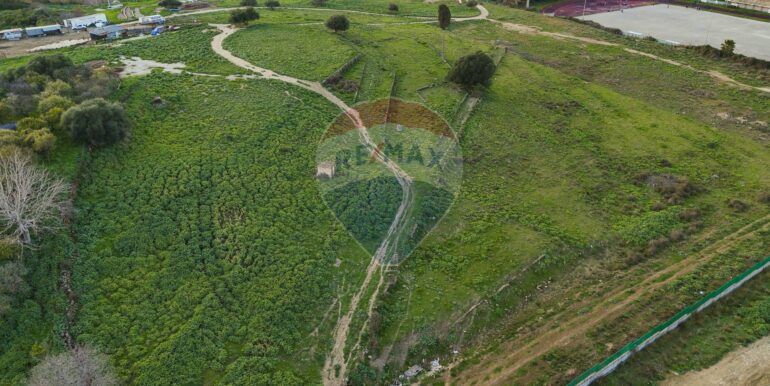 20250226194638-932436-16