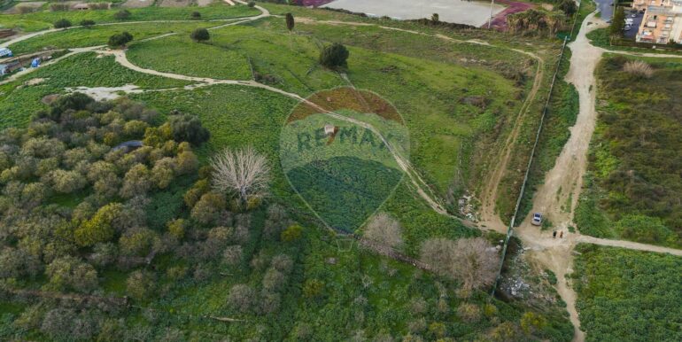 20250226194646-932436-19