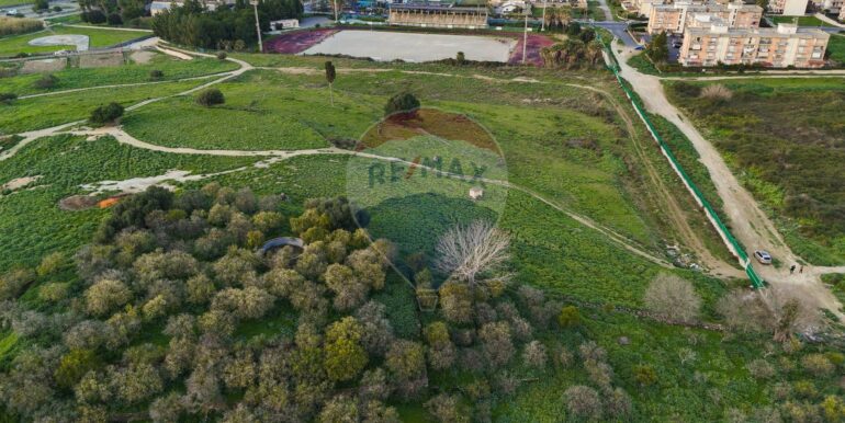 20250226194649-932436-20