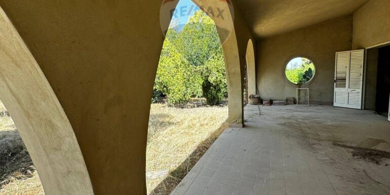 20250227105259-932798-5