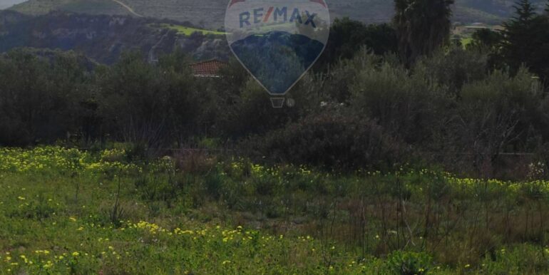 20250227185212-933003-1