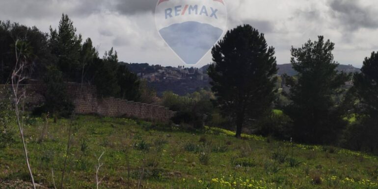 20250227185219-933003-3