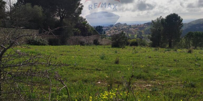 20250227185224-933003-4