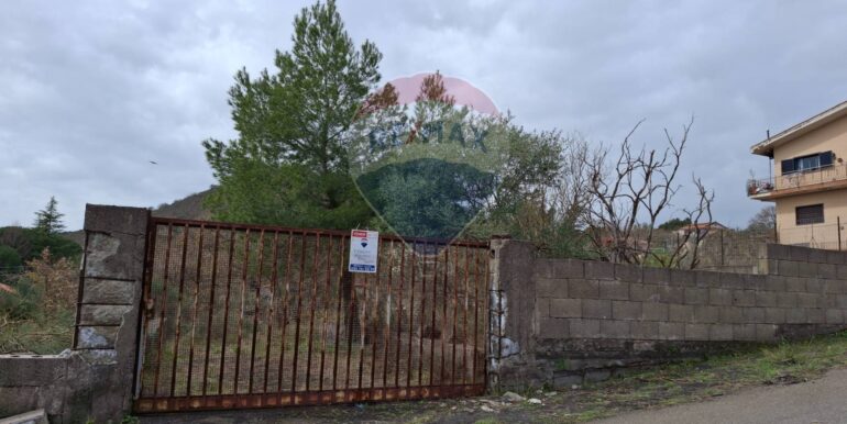 20250301193337-849937-18