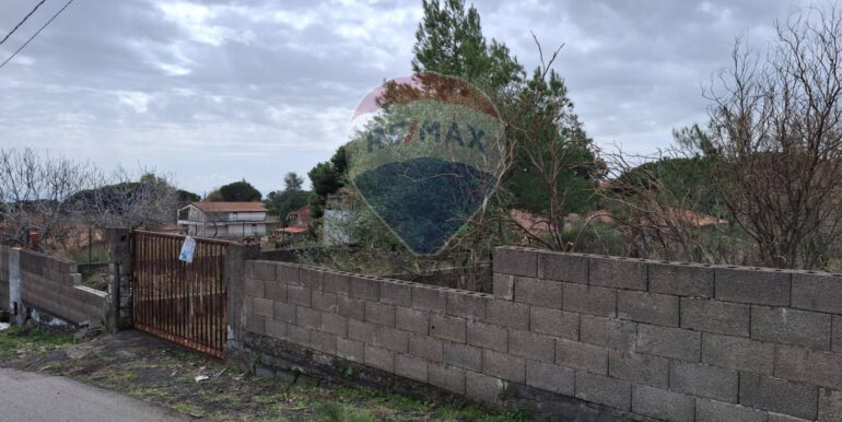 20250301193339-849937-19