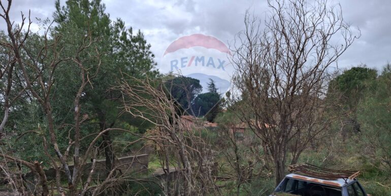 20250301193353-849937-23