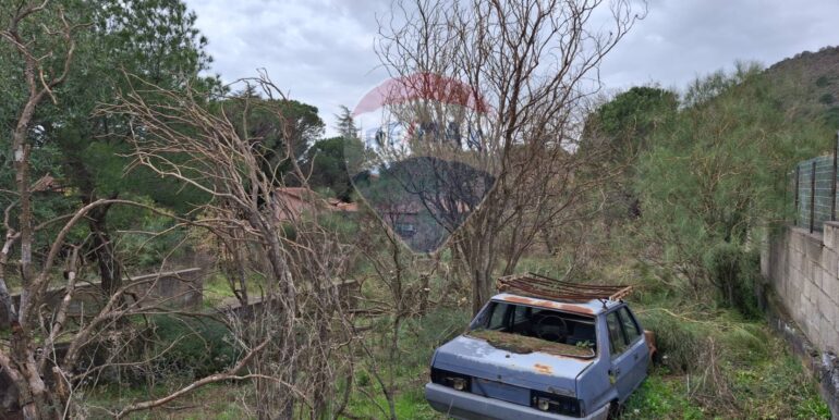 20250301193356-849937-24