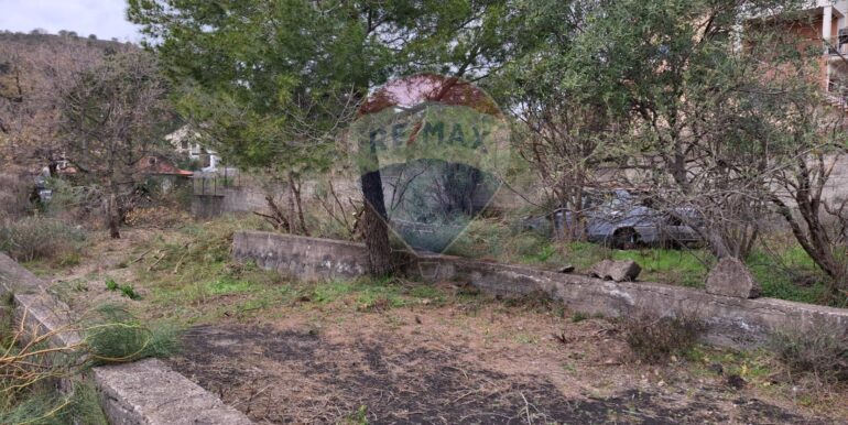 20250301193400-849937-25