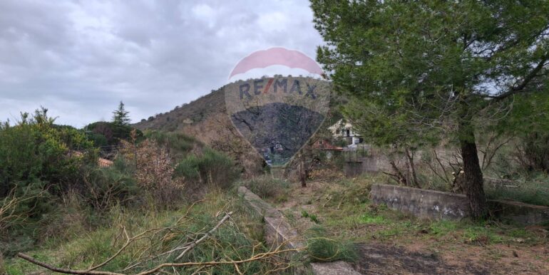 20250301193404-849937-26